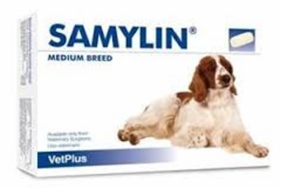 Samylin_medium_breed.jpg&width=400&height=500