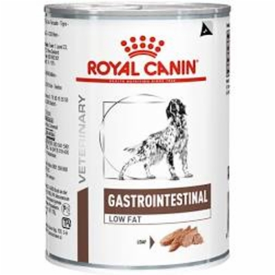 gastro_intestinal_canine_4002.jpg&width=400&height=500