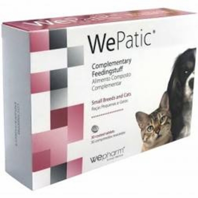 wepatic_small_breed_and_cat.jpg&width=400&height=500